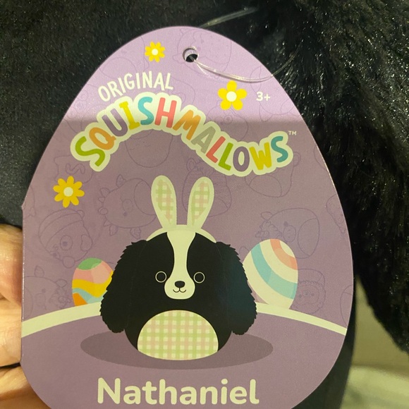 Nathaniel - Picture 2 of 2